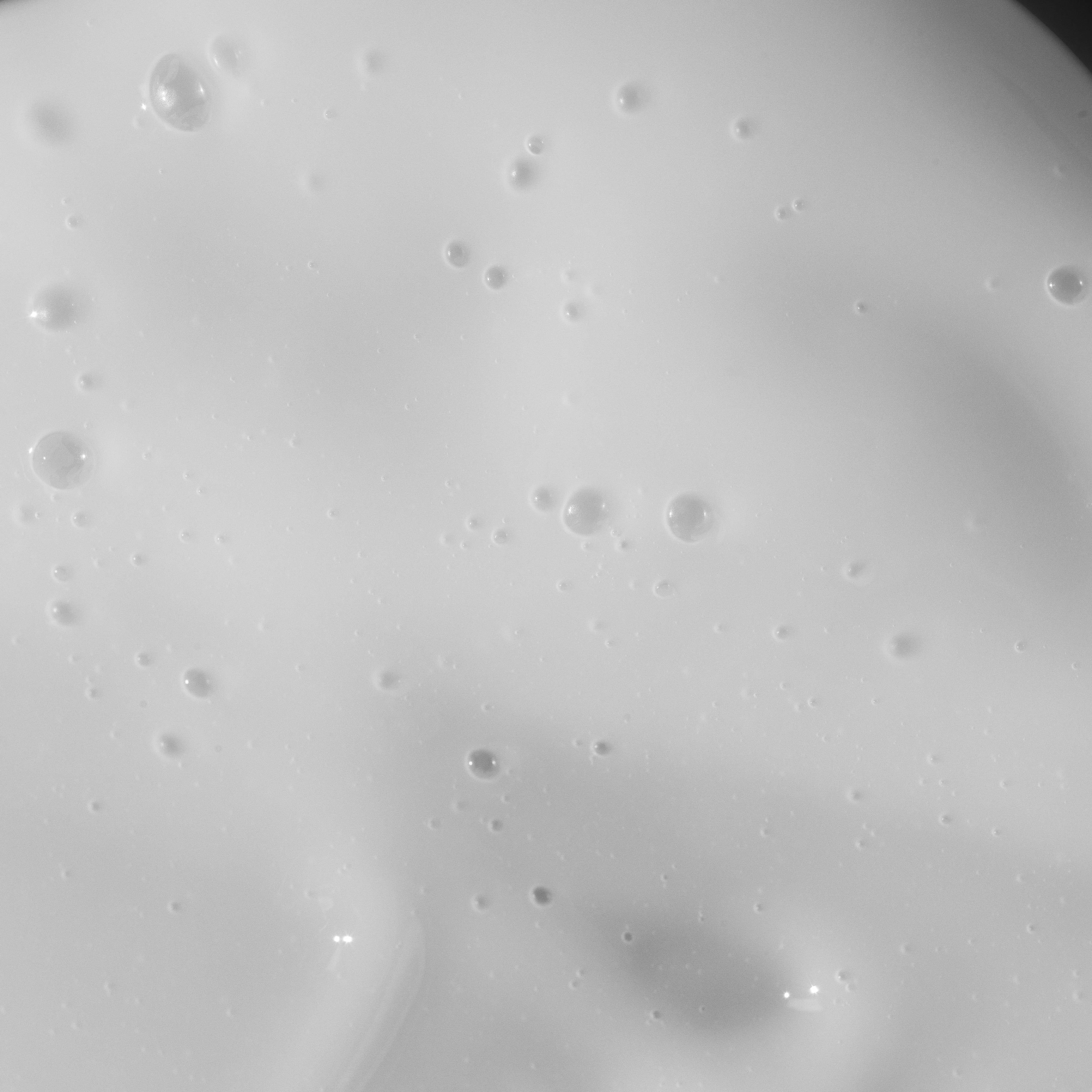 Hydrating Beard Shampoo
